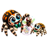 Regal Jumping Spider (Phidippus regius) PNG Digital Cartoon Download