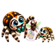 Regal Jumping Spider (Phidippus regius) PNG Digital Cartoon Download