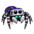 Regal Jumping Spider (Phidippus regius) PNG Digital Cartoon Download