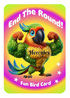 Bird Brain Rummy-Family Card Game