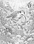 Hidden Treasure Coloring Book: Color, Find & Enter to Win!