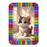 The Kitten Rainbow Display Frame (Digital Download)