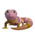Nature in Technicolor: 8 High-Definition 3D Reptiles & Amphibians (Digital PNG) (code-R01)
