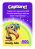 Bird Brain Rummy-Family Card Game