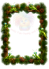 3D Vibrant Insect Card Templates – 17 (2.5x3.5") Framed PNGs with Transparent Centers