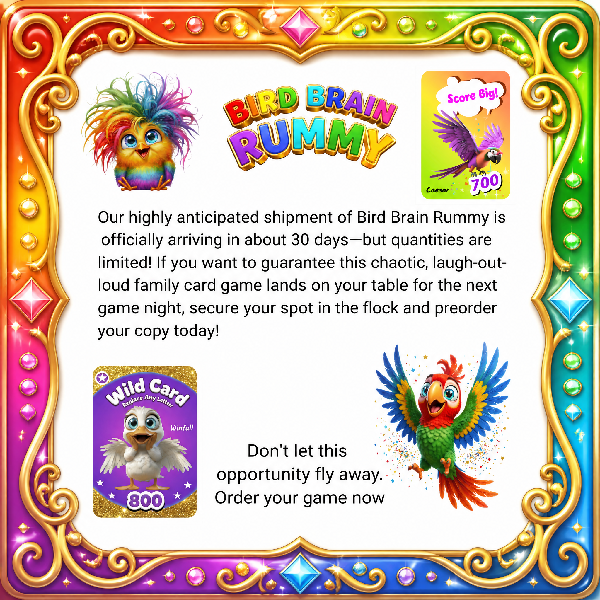 Bird Brain Rummy-Family Card Game