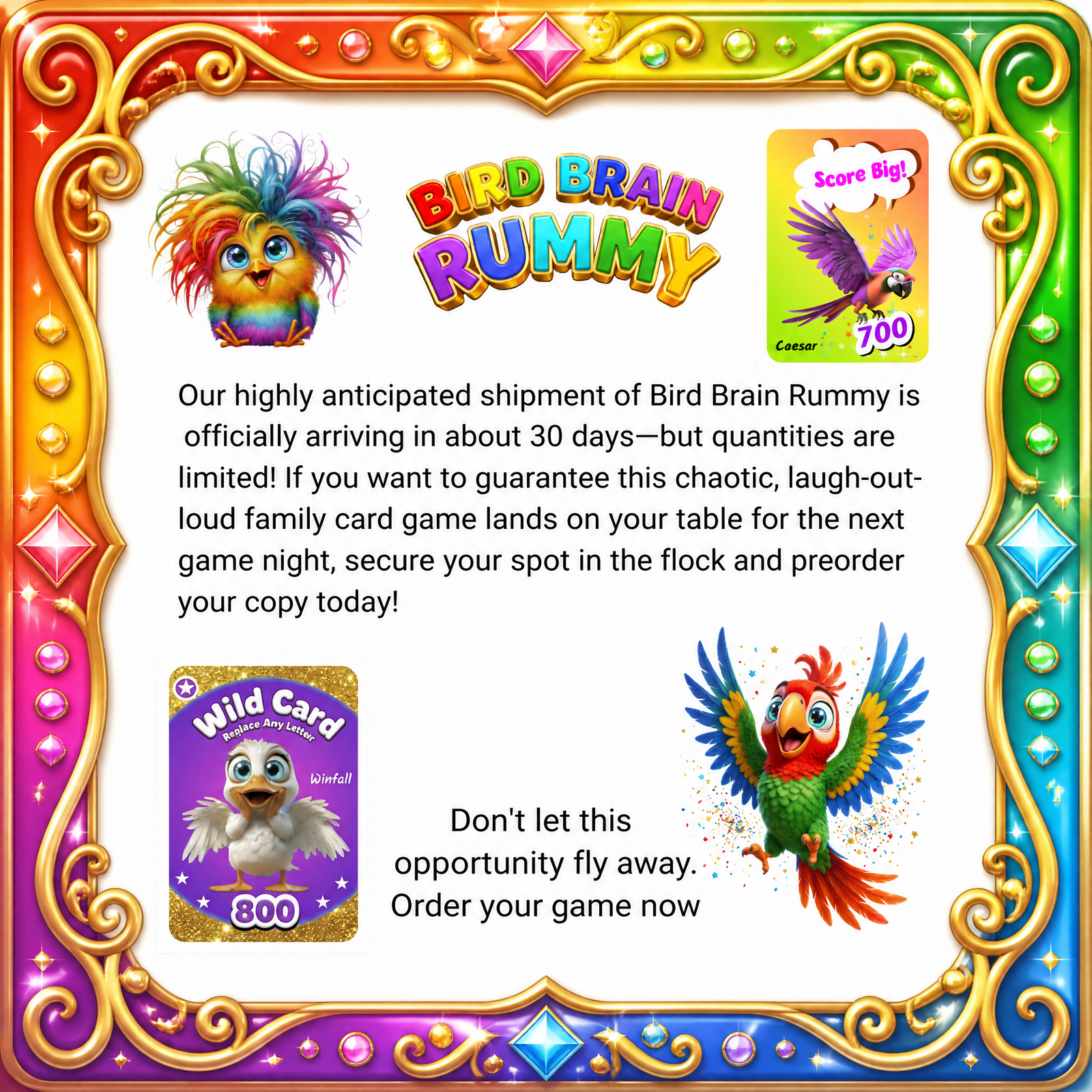 Bird Brain Rummy-Family Card Game